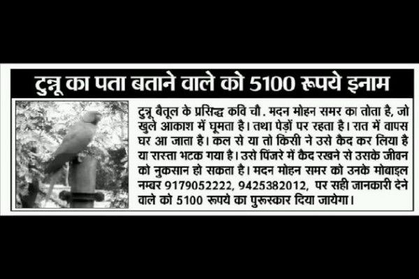 अखबार में निकला टुन्नू के लिए इश्तहार