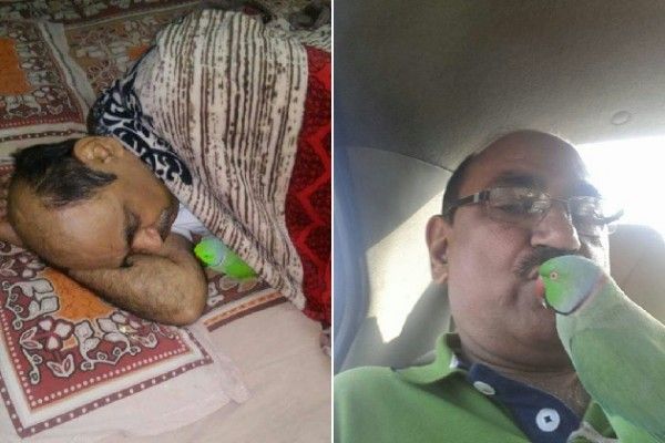 मदन मोहन सागर अपने तोते टुन्नू के साथ