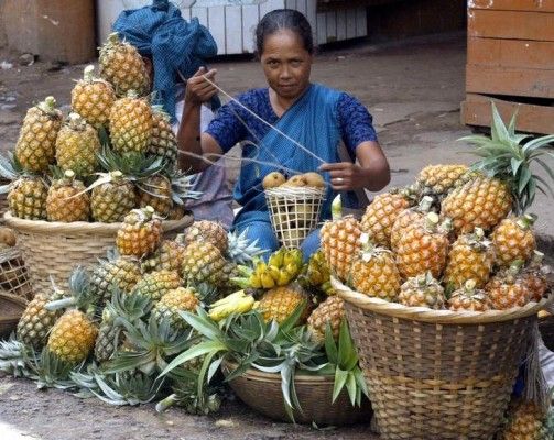 Tribal Khasi village woman shells pineapples at a road side markets at Nongpho, in northeast India's Megahlaya state on August 12, 2003. Megahlaya is dominated by three tribes - Khasis, Jaintias and Garos.