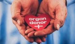 organ