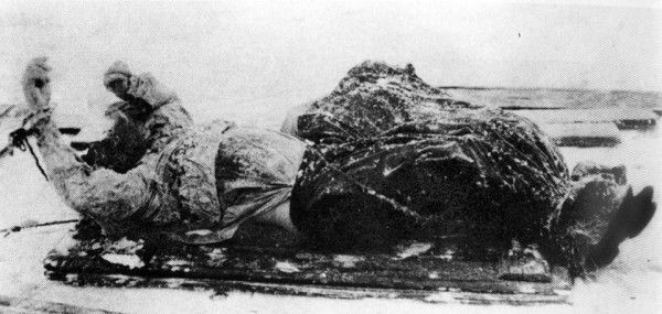 rasputin dead body