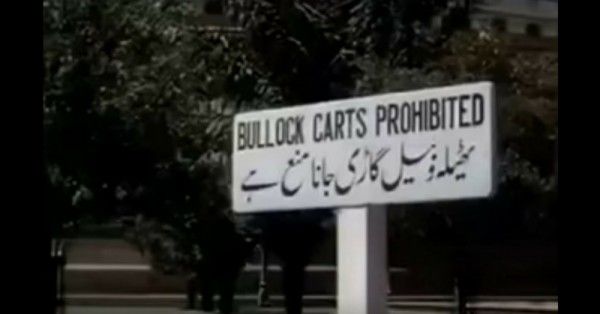 फोटो- जैक कार्डिफ