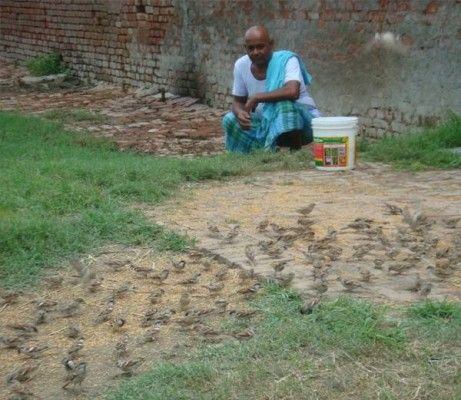 अर्जुन सिंह