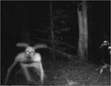 19849076_491839631154480_910424079_n