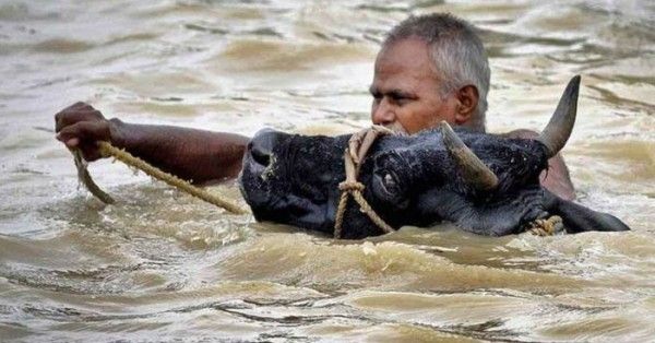 पिछले साल की बाढ़ की एक तस्वीर