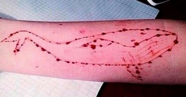 Blue Whale