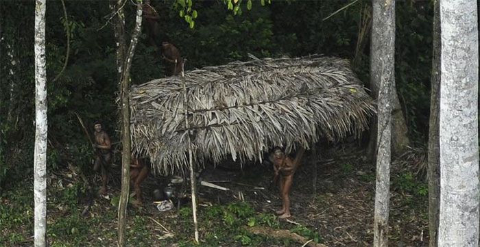 2014 में एक हवाई सर्वे के दौरान पहली ऐमजॉन क्षेत्र में रहने वाले एक ऐसे कबीले का पता चला, जिसके बारे में पहले कोई जानकारी नहीं थी...