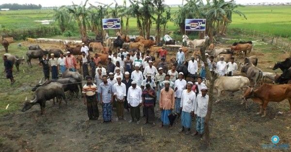 Image: Help Hand for Relief and Development