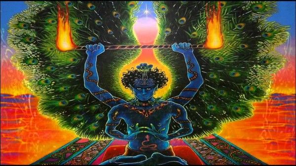 यज़ीदी क़ौम सात फरिश्तों में यकीन रखती हैं, जिनमें ‘मलक ताउस’ यानि मोर का फरिश्ता प्रमुख माना जाता है. 