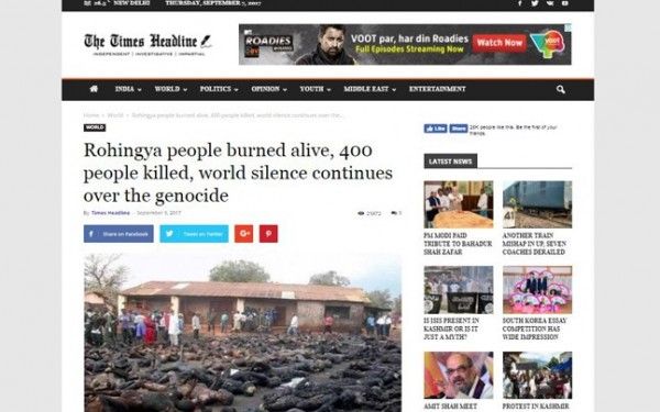 rohingya 