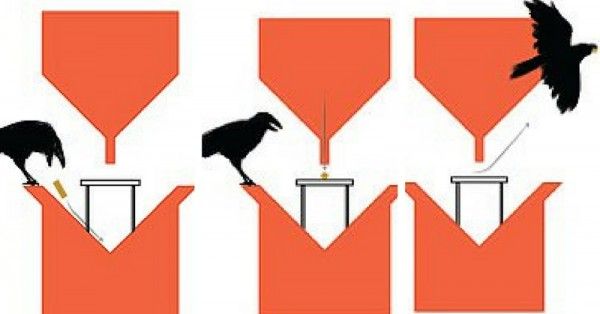 कउवा सिग्रेट बट डालेगा तो उसे बदले में खाने को कुछ मिलेगा.