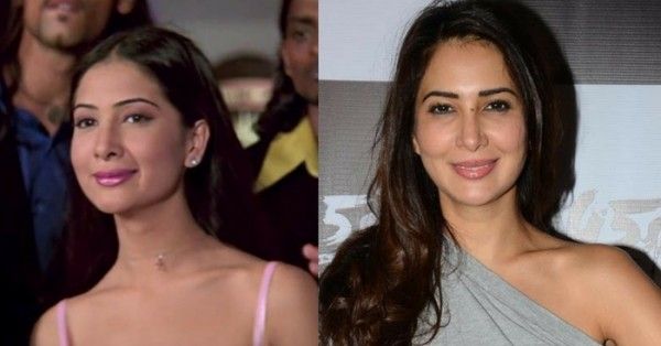 किम शर्मा चेंस ऑफ पंजानी होटल्स की CEO रह चुकी हैं.