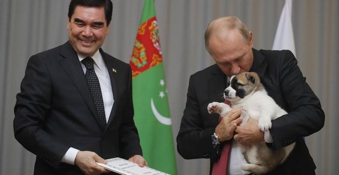 putin-love-dogs-pets