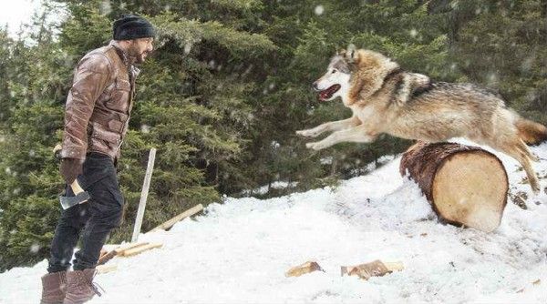 tiger zinda hai