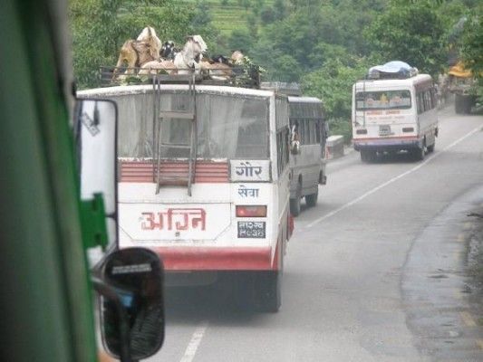 बसों में बकरियां भारत में आम नज़ारा है.