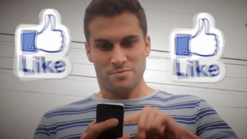giphy (5)