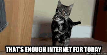 giphy (9)