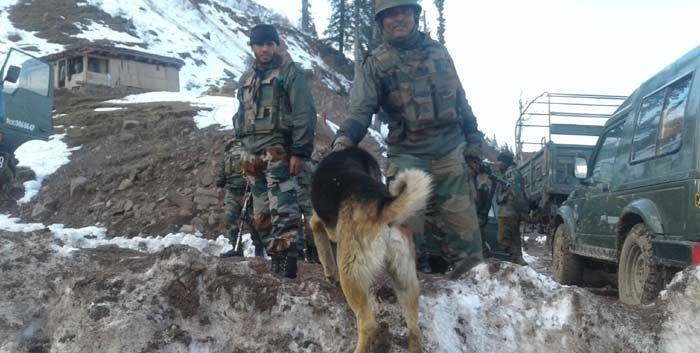 पुलिस और सेना में कुत्तों को लेने की बड़ी पुरानी परंपरा रही है. ये परंपरा जरूरत से पैदा हुई. अपनी सूंघने की शक्ति और छोटी से छोटी आहट से खतरे को भांपने की ताकत उन्हें इतना खास बनाती है.
