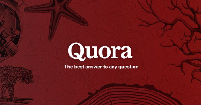 Quora 2009 में शुरू हुआ था. शुरू में यह ऐड-फ्री था. 2017 से इसमें एड्स डाल दिए गए.