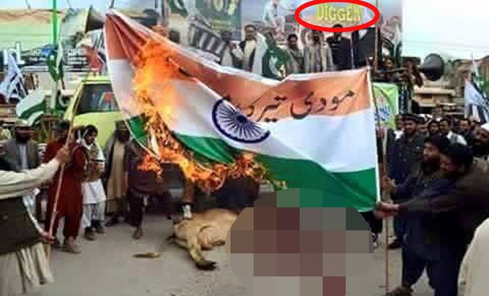 ऊपर पीले रंग के फॉन्ट में digger लिखा है. ये एक पाकिस्तानी कंपनी का नाम है.