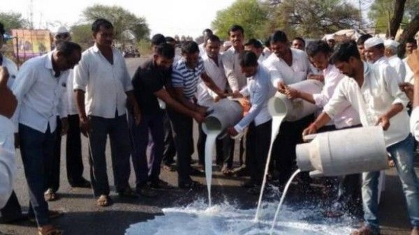 किसानों ने तय किया है कि वो भले ही दूध फेंक देंगे, लेकिन इसे शहर में नहीं पहुंचने देंगे. जिसे ज़रूरत है वो गांव में आएगा और किसान की तय कीमत पर दूध खरीदेगा.