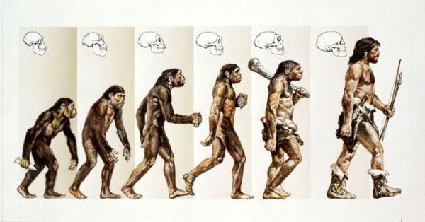 evolution-of-human-as-hunte