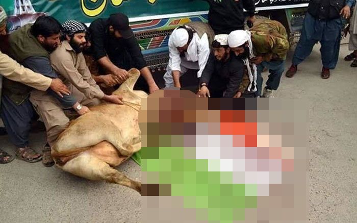 ये फोटो इस वायरल पोस्ट की थीम है. कि तिरंगे पर रखकर गाय काटी गई.