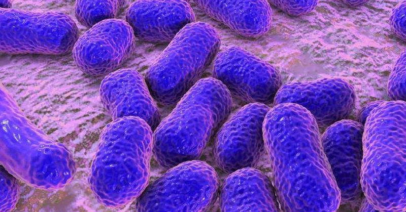 ये खूबसूरत सी दिखने वाली शै कोई खाने की चीज़ नहीं बैक्टीरिया है. इससे बचने के लिए ही एंटीबायोटिक्स मिलाए जाते हैं.