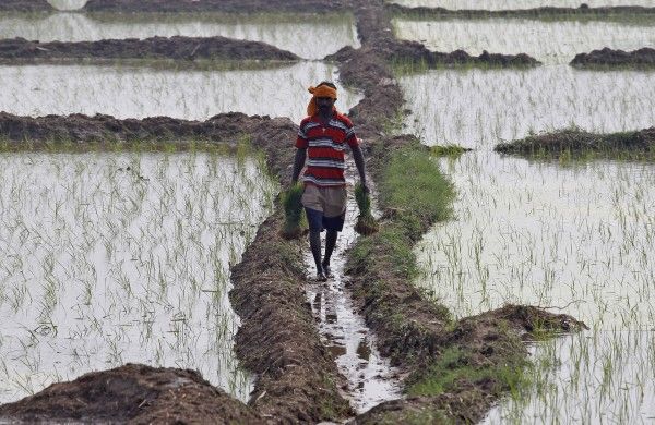 हर किसान को इस निधि के लिए रजिस्टर करवाना होा है.