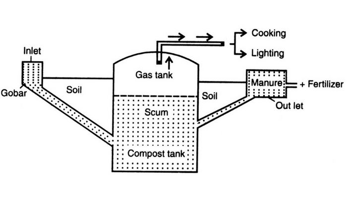 साभार - Biocyclopedia