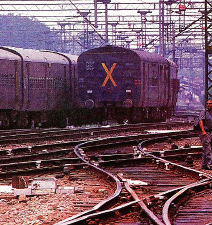 उस रात सारी घटनाएं एक के बाद एक क्रम में होती गईं. ये सारा सिलसिला तब शुरू हुआ, जब कालिंदी एक्सप्रेस ने पटरी पर खड़ी एक नीलगाय को टक्कर मारी. इसकी वजह से ट्रेन रुक गई. 