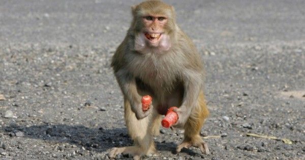 एक और सांकेतिक इमेज (रॉयटर्स)