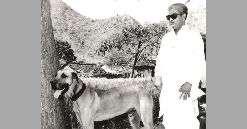 राज्यपाल रहने के बाद फिर से सक्रिय राजनीति में उतरे सुखाड़िया. लेकिन इंदिरा ने कोई खास तवज्जो नहीं दी. 