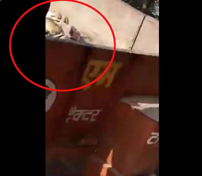 वीडियो के एक बेहद छोटे फ्रेम में ट्रैक्टर के अंदर क्या है, इसका भी शॉट है. हम दावे से तो नहीं कह सकते. मगर इस फ्रेम को देखकर लगता है कि गाय के शरीर के टुकड़े जैसा कुछ है अंदर. वीडियो में बात भी यही हो रही है कि कटी हुई गाय को ट्रॉली के अंदर रखकर लाए.