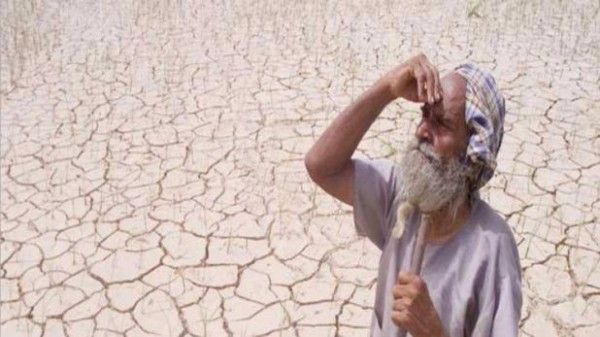 farmer_1024_1498307047_618x347