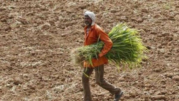 farmer_760_1496893393_618x347
