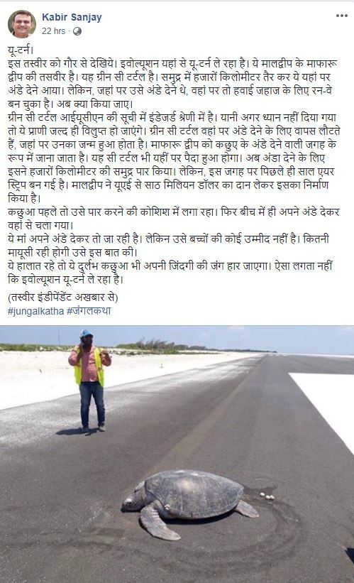 ये हालात रहे तो ये दुर्लभ कछुआ भी अपनी जिंदगी की जंग हार जाएगा
