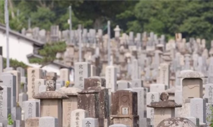 जहां क़ब्रें देखकर सोसाइटी का भ्रम होता हो, वहां ज़मीनें महंगी तो होंगी हीं