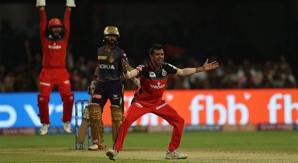 Yujvendra Chahal IPL 2019 KKR vs RCB