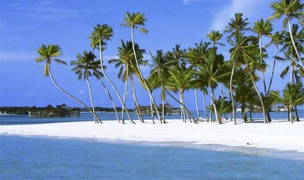 कंपनी ने लोगों को सपने दिखाए कि वह जमा किए गए पैसों से जमीनें खरीदेंगे और उन्हें डिवेलप करके निवेशकों को उपलब्ध कराएंगे. कंपनी ने लोगों को सपने दिखाए कि वह जमा किए गए पैसों से जमीनें खरीदेंगे और उन्हें डिवेलप करके निवेशकों को उपलब्ध कराएंगे.