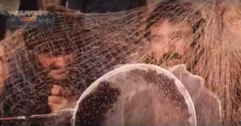 फिल्म में पद्मिनी कोल्हापुरे बच्चों के साथ मिलकर जैकी श्रॉफ और शक्ति कपूर पर मधुमक्खियां छोड़ देती हैं.