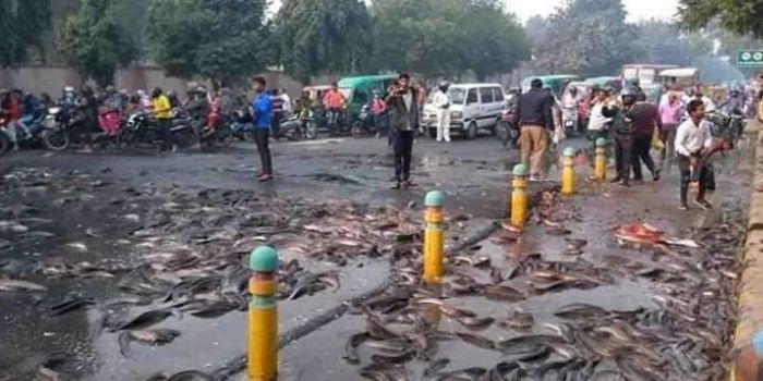 Untitled Design (12)