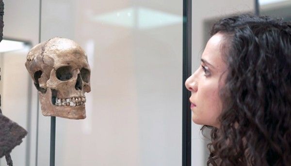 Viking Skull National Geo 700x400