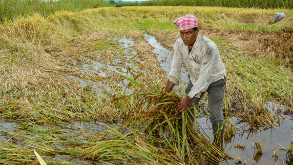 Adarsh Gram Yojana