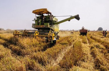 खेती और खाद की बात करने वाली फ्रॉस्ट कंपनी ने असल में खेती के लिए कभी कुछ किया ही नहीं 
