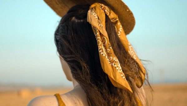 Field 4346919 1920 700