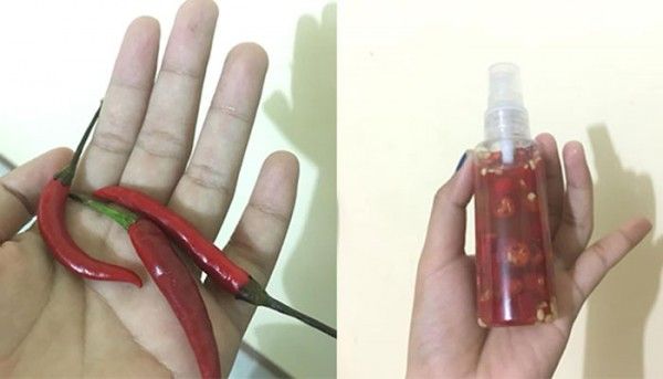 Pepper Spray Says Com Yt 700