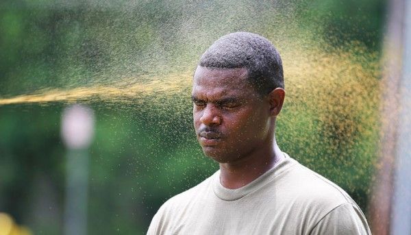 Pepper Spray Wiki 700