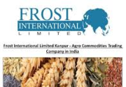 फ्रॉस्ट इंटर नैशनल ने आरोप के अनुसार वही काम किया है जो नीरव मोदी कर चुके हैं 