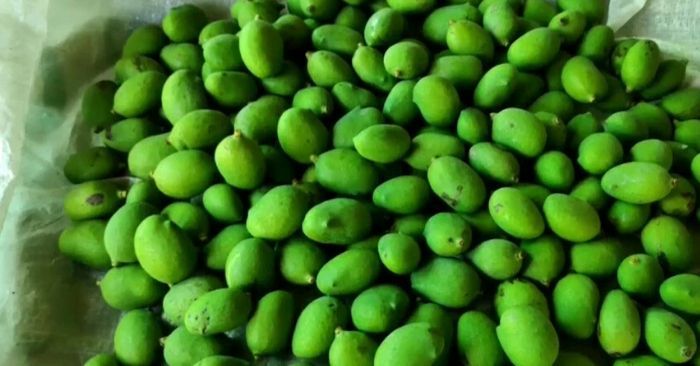 लॉकडाउन के अलावा आम की फसल पर मौसम का भी मार पड़ा है.